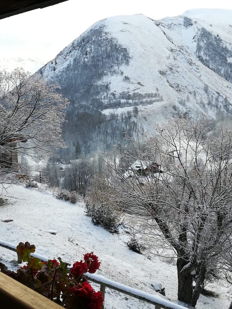 Disponibles à emporter ou à déguster