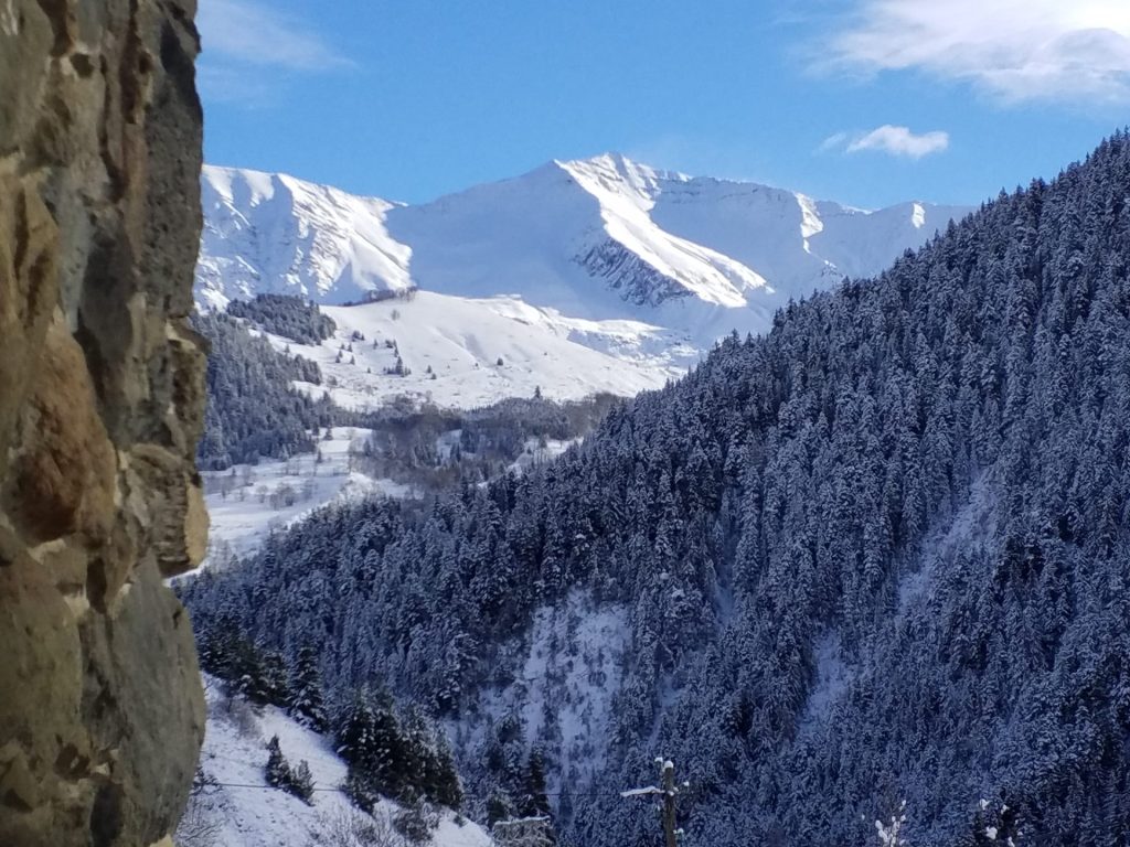une vitrine remplie de toutes sortes de desserts différents