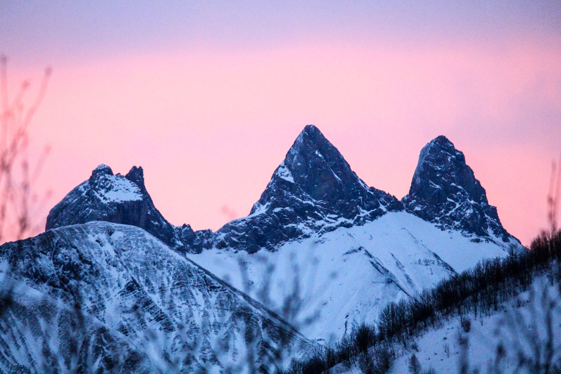 Trois pâtisseries carrées garnies de fraises sur un plateau